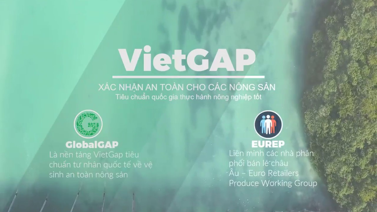 VietGAP – Chứng nhận đi đầu trong hoạt động sản xuất nông nghiệp tại Việt Nam
